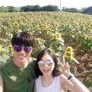 푸르농장 이미지