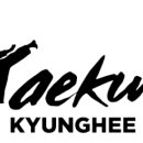 경희대태영태권도 이미지