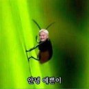 유가네수산 이미지