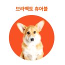 한국엠에스디동물약품(주) 네이버블로그