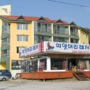띠앗 이미지