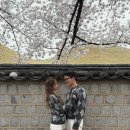 효언니마켓