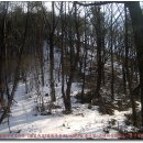 밤원주유소 이미지