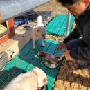 봉다리농장 이미지