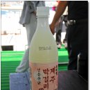 노아투어 이미지
