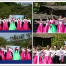 숲속의 둥지 이미지