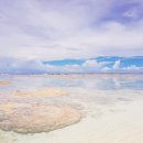 델모니코스 이미지