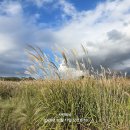 자연동산 이미지