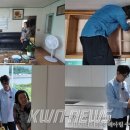 디자인 판