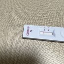 각 잡고 쓰려다가 맨날 미룬 2월 일기
