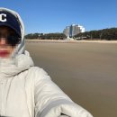 안면도수산업협동조합 | 서해안 여행, 안면도 겨울바다 찍고 공세리성지와 맛집