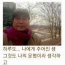 영산강뚝방길 이미지