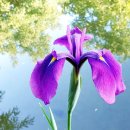 새벽농장 이미지