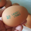 오경(젤란) 이미지