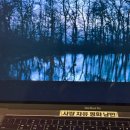 사랑모아빌(홀리조이) | @2026.1월의 기록_ 뿌리와 기둥은 자연스럽게 다져진다