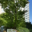 베베궁어린이집 이미지