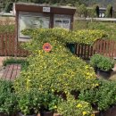 재인폭포와 두루미 이미지