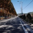 배둔점 GS25 이미지