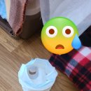 엣지있개 이미지