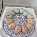 참다운농장 이미지