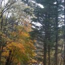 여주-1022 이미지