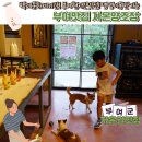 부여맛집 부여자온길 부여핫플 내돈내산 후기 자온양조장