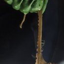 메이폴하우스 이미지