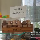 스튜트