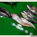 묘산주유소 이미지