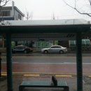 실내체육관 앞 횡단보도 이미지