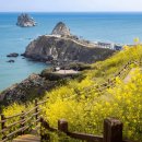 바다산책 이미지