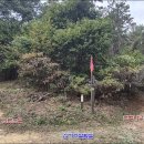 하늘마당 이미지