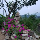 돌탑농장 이미지