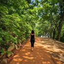 계족산 황토길 방문후기 조웅래 회장이 200억 들여 만든 맨발 걷기 명소, 코스·주차·맛집 총정리
