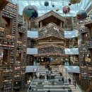 (주)나선기업 | ⭐ 스타필드 수원점 _ 별마당도서관~훕시티, 데카트론~오베이~린바오 × 정지선 딤섬빵 팝업스토어~런던...