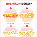 메이드유 이미지