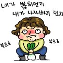 달콤한꿈을꾸는베리농장 이미지