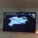 일층약국 | 새로 바뀐 순천향 천안병원 순천향대학교 부속 천안병원 산부인과 진료 후기