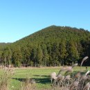 동광리-12 이미지