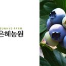 은혜농원 이미지