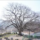 진천현대 이미지