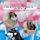 퍼밀리 이미지