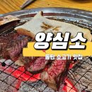 양심소 | 반월동 가족모임 장소 추천 소고기 맛집 양심소 본점 후기