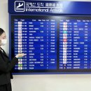 테마항공여행사 이미지