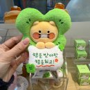 [속초] 맛과 감성 다잡은..💙 오복식당 장칼국수...cake7st 딸기케이크 / 회 제작소 / 백촌막국수 / 카페...