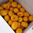 형제청과 이미지