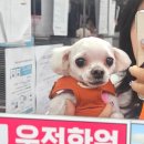 하이파크3로 78번길 이미지