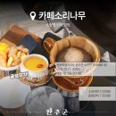 하루소양 이미지