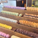 스카이클럽 | 그랜드 워커힐 클럽라운지 호캉스 후기 (스카이야드, 티타임)