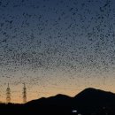 [울산광역매일]울산시, 문화 관광산업 자원 다양화 추진 이미지